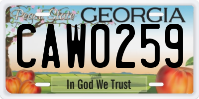 GA license plate CAW0259