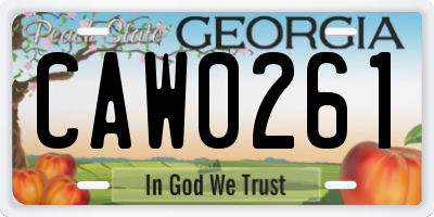 GA license plate CAW0261