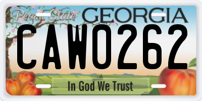 GA license plate CAW0262