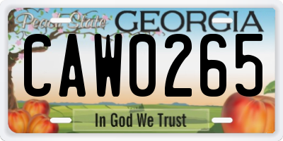 GA license plate CAW0265