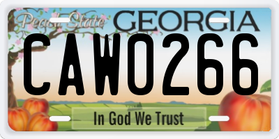 GA license plate CAW0266