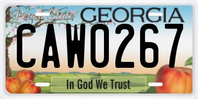 GA license plate CAW0267