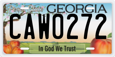 GA license plate CAW0272