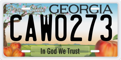 GA license plate CAW0273