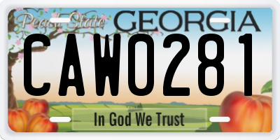GA license plate CAW0281