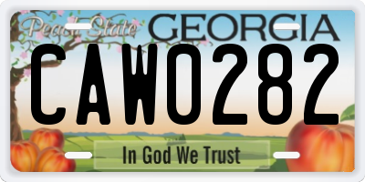 GA license plate CAW0282