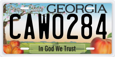 GA license plate CAW0284