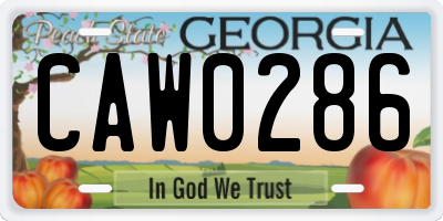 GA license plate CAW0286