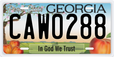 GA license plate CAW0288