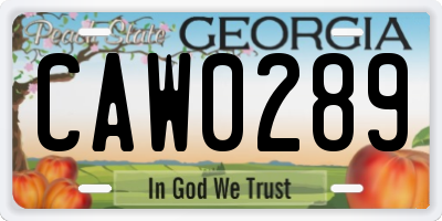 GA license plate CAW0289