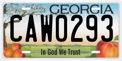 GA license plate CAW0293