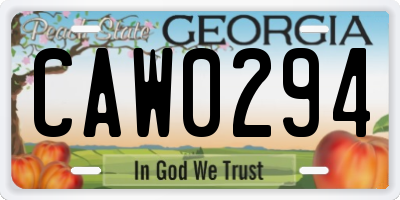 GA license plate CAW0294