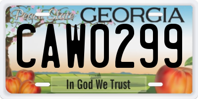 GA license plate CAW0299