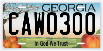 GA license plate CAW0300