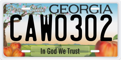 GA license plate CAW0302