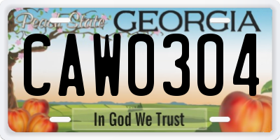 GA license plate CAW0304