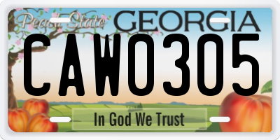 GA license plate CAW0305