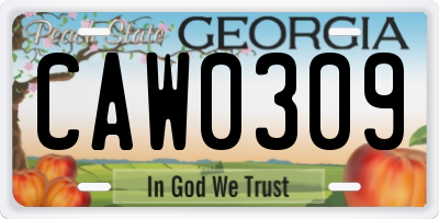 GA license plate CAW0309