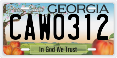 GA license plate CAW0312