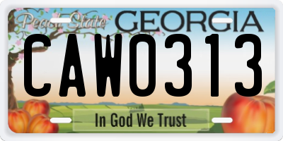 GA license plate CAW0313