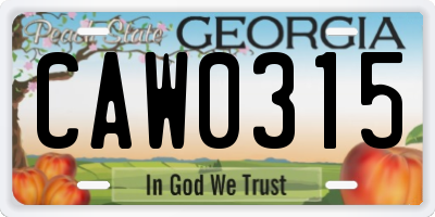 GA license plate CAW0315