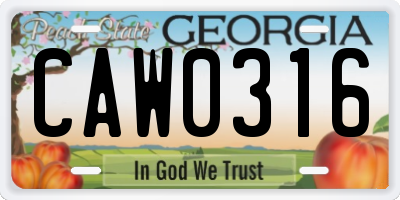 GA license plate CAW0316