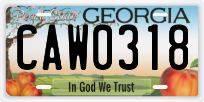 GA license plate CAW0318