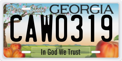 GA license plate CAW0319