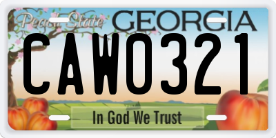 GA license plate CAW0321