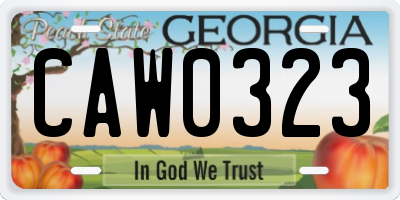 GA license plate CAW0323