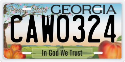 GA license plate CAW0324