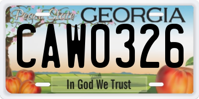 GA license plate CAW0326