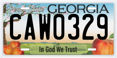 GA license plate CAW0329