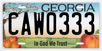 GA license plate CAW0333