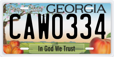 GA license plate CAW0334