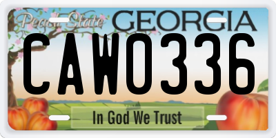 GA license plate CAW0336