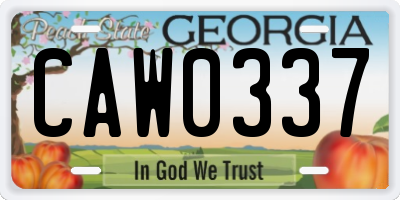 GA license plate CAW0337