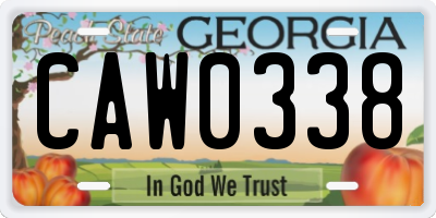 GA license plate CAW0338