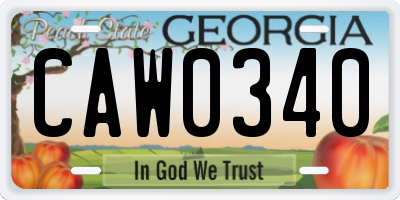 GA license plate CAW0340