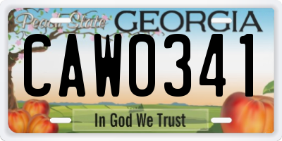 GA license plate CAW0341