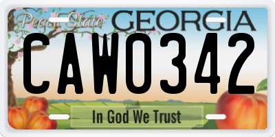 GA license plate CAW0342