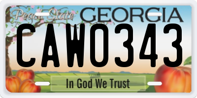 GA license plate CAW0343