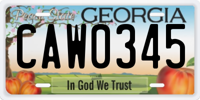 GA license plate CAW0345