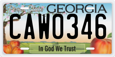 GA license plate CAW0346