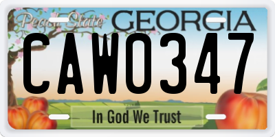 GA license plate CAW0347