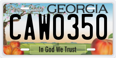 GA license plate CAW0350