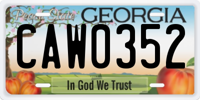 GA license plate CAW0352