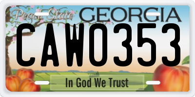 GA license plate CAW0353