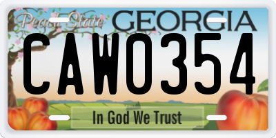 GA license plate CAW0354