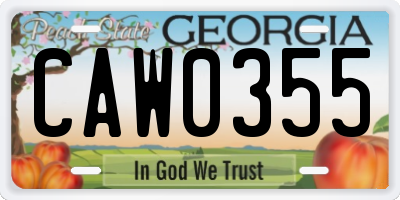 GA license plate CAW0355